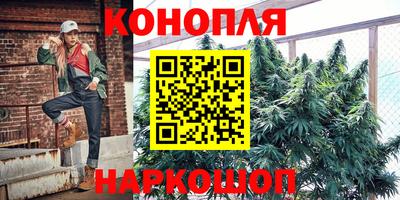 дмт Будённовск