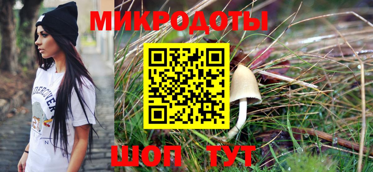 Саранск  Псилоцибиновые грибы прущие грибы  Вход с VPN 