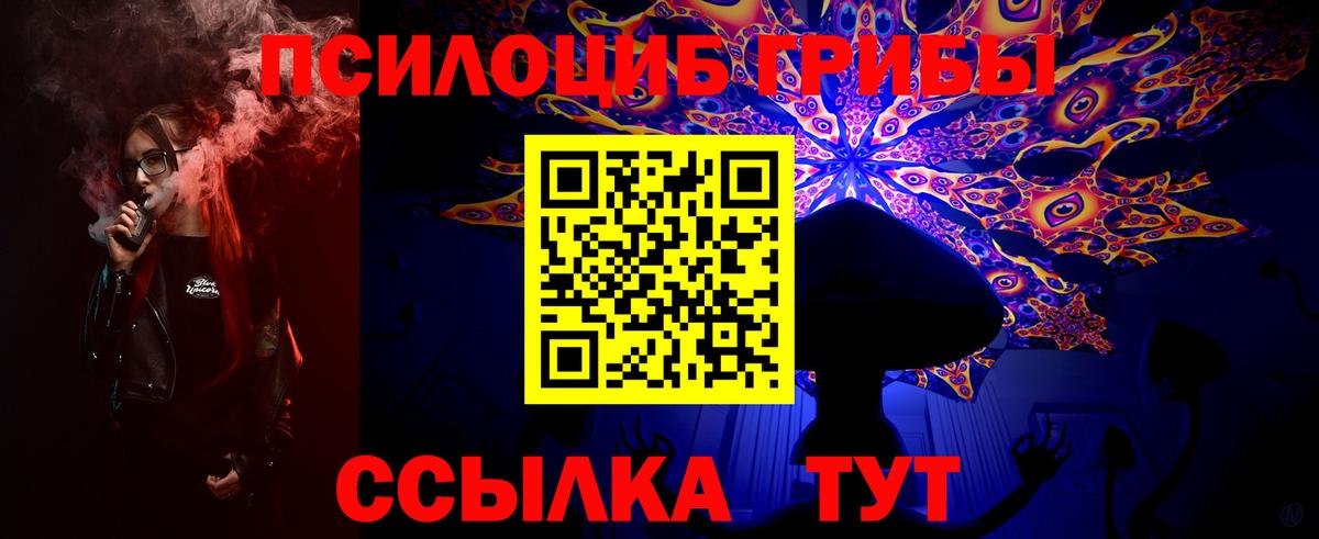 Галлюциногенные грибы мицелий Саранск